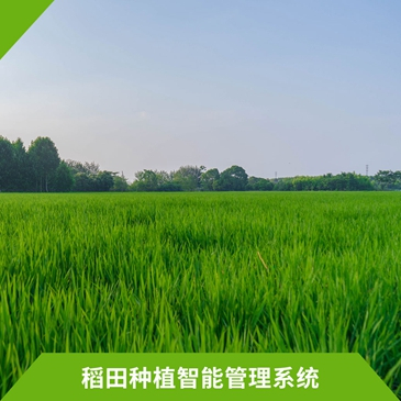 稻田种植智能管理系统