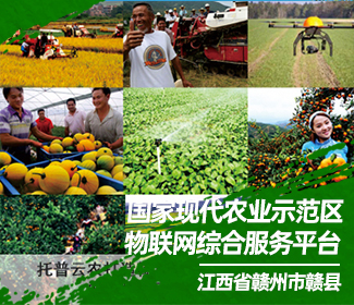 托普云农打造赣县国家现代农业示范区农业物联网综合服务平台